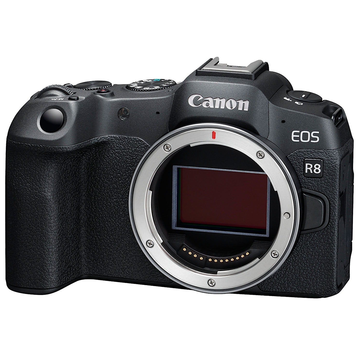 Canon EOS R8 Body - 1365752